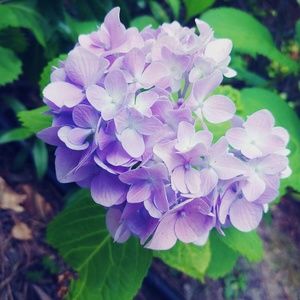 Meet your Posher, Ayden